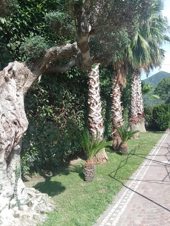 Villa Agata Forchia Luaran gambar
