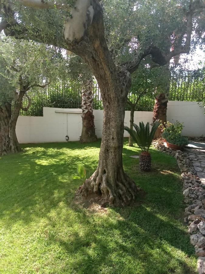 Villa Agata Forchia Luaran gambar